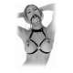 FETISH FANTASY EDICION LIMITADA MORDAZA CON PINZAS PARA PEZONES